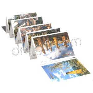 Cappadocia Panorama Postcard Set