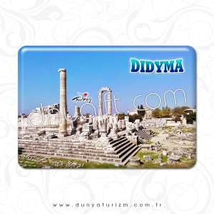 DİDİM DAMLA MAGNET 104