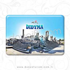 DİDİM DAMLA MAGNET 106