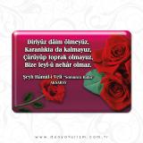 AKSARAY DAMLA MAGNET 104