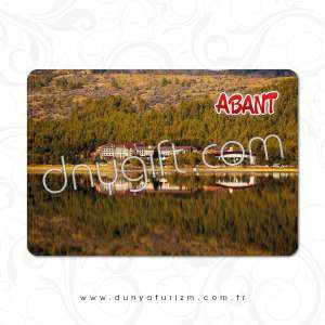 Abant Printed Magnet 201