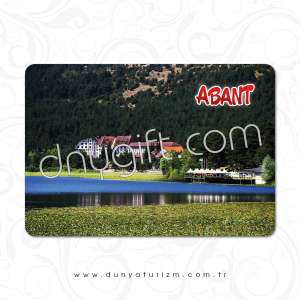 Abant Printed Magnet 206