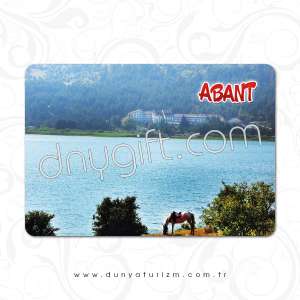 Abant Printed Magnet 208
