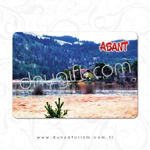 Abant Printed Magnet 211