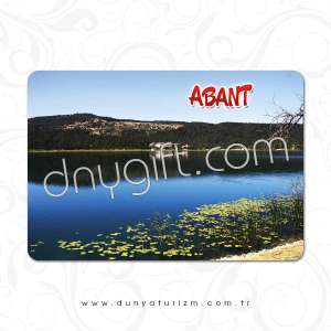 Abant Printed Magnet 213